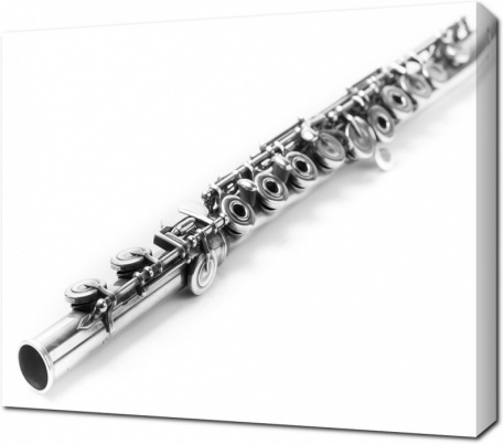 Металлическая флейта