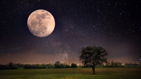 Лунная ночь над полем