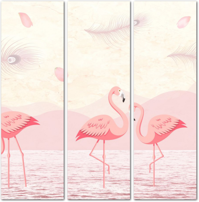 Тонконогие фламинго в воде