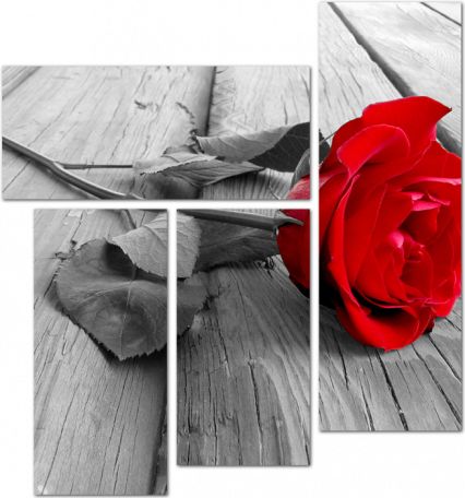 Красная роза на деревянном полу