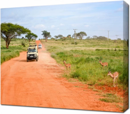 Сафари на внедорожниках