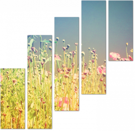 Полевые цветы с ретро фильтром