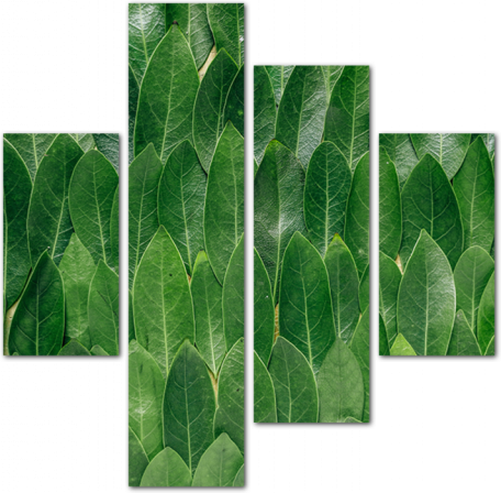 Орнамент из настоящих листьев