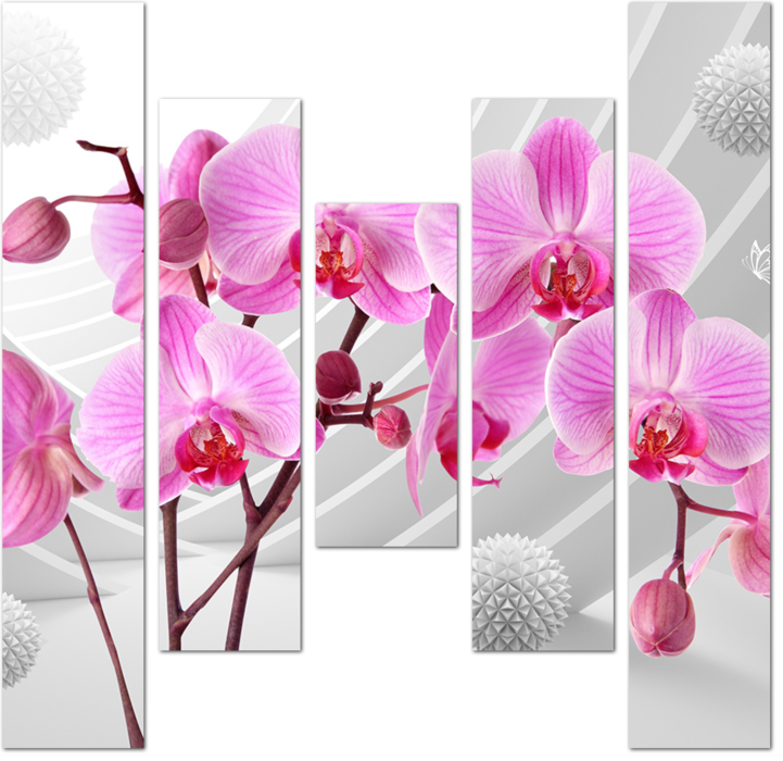 Розовые орхидеи на черно-белом фоне