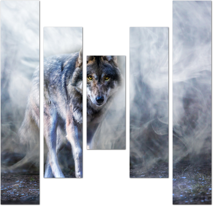 Волк выходит из тумана