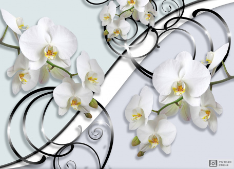 3D белые орхидеи и узором