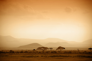 Сногсшибательный пейзаж Африканской саванны