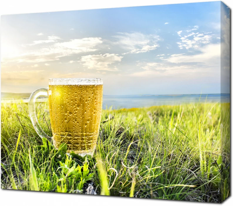 Холодное пиво в лучах солнца