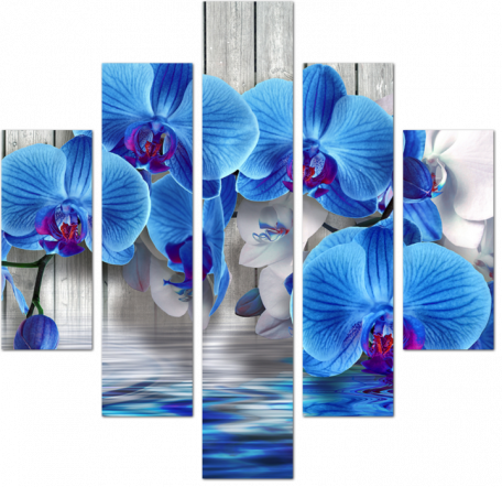 Синие орхидеи над водой