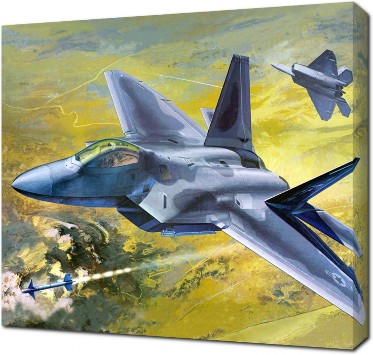 Самолет F-22A