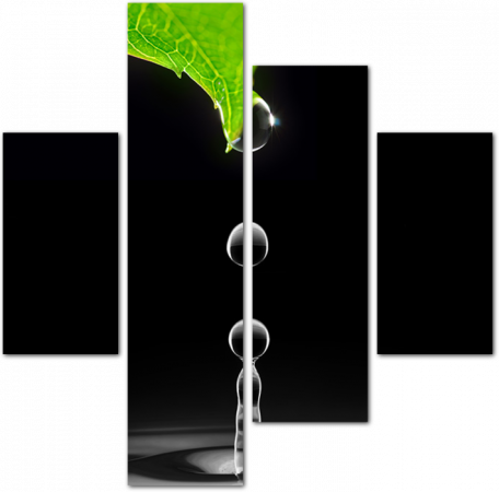 Капля воды падает с зеленого листка на черном фоне