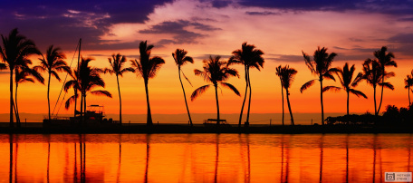 Закат с тропическими пальмами Гавайи