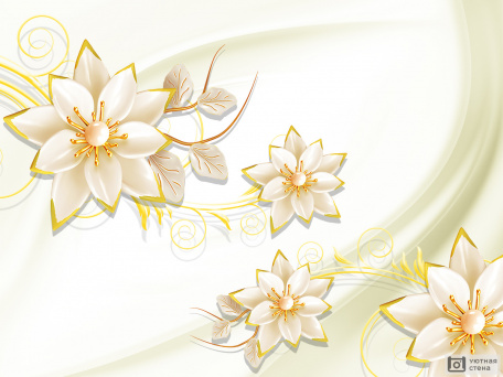 Белые цветы с золотой каймой