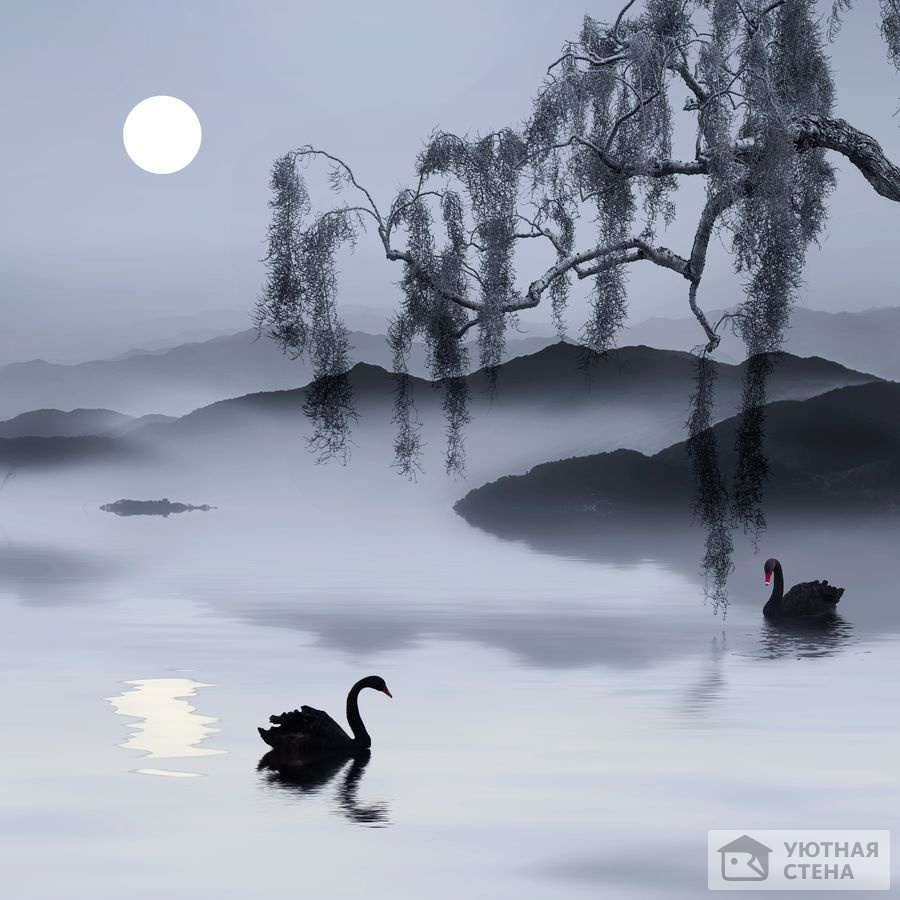Свет луны над озером с лебедями