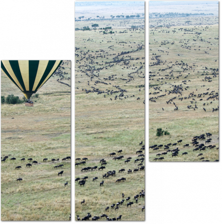 Воздушный шар и стаи антилоп
