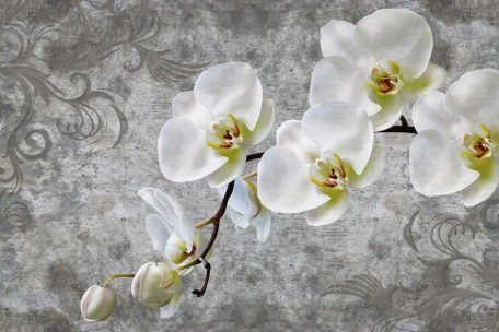Орхидея на винтажном фоне