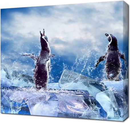 Пингвины на льдинах