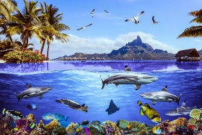 Подводный мир Мальдивского острова