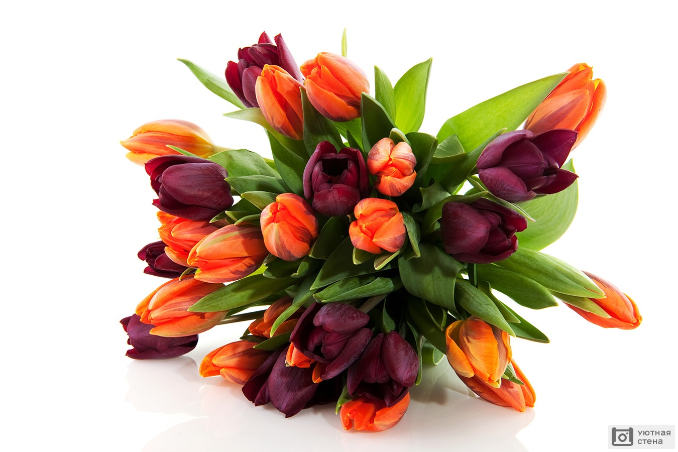 Букеты необычных тюльпанов цветы на ободки купить