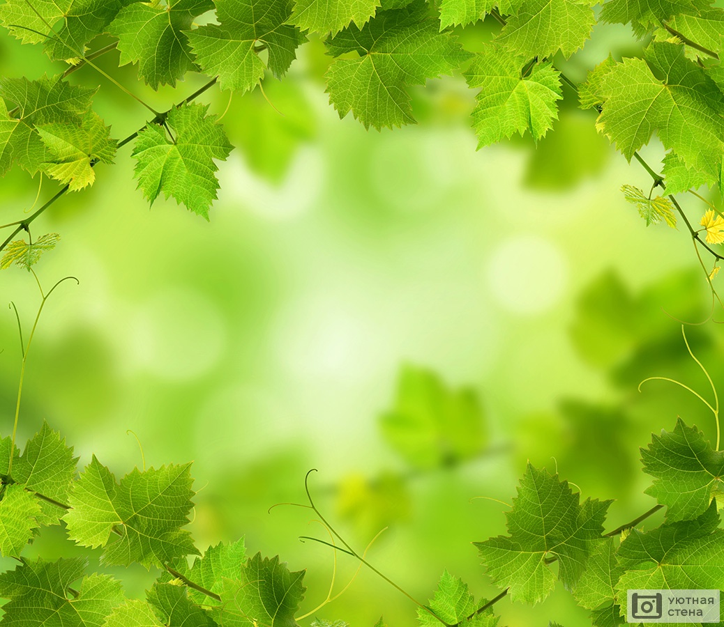 Фотообои Зеленый фон с листьями - Арт. 170314 | Купить в  интернет-магазине Уютная стена