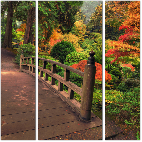 Деревянный мостик в осеннем лесу