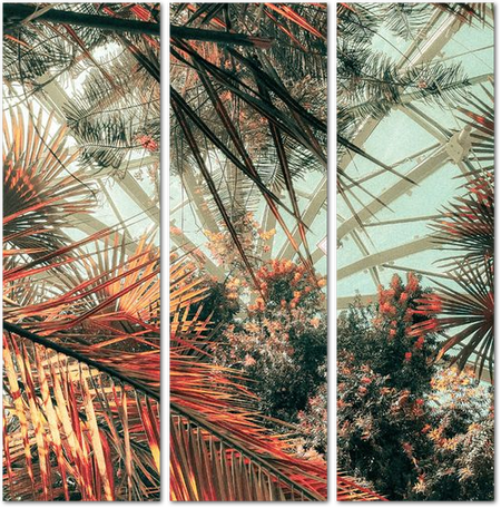 Листья пальм под куполом