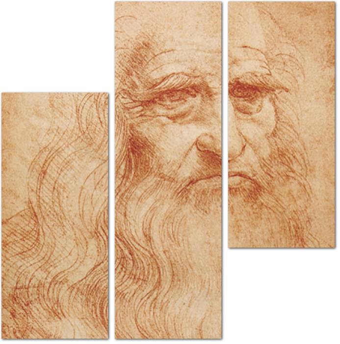 Леонардо да Винчи - Туринский автопортрет