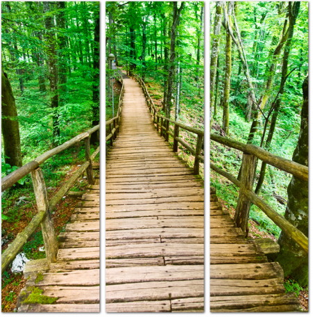 Деревянный мостик в зеленом парке
