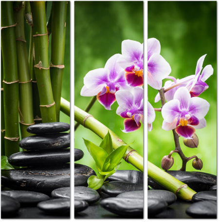 Спа композиция из орхидеи, бамбука и камней