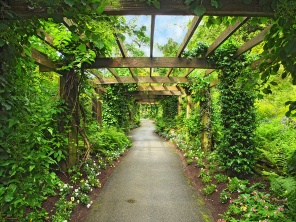 Парк с зеленой галереей