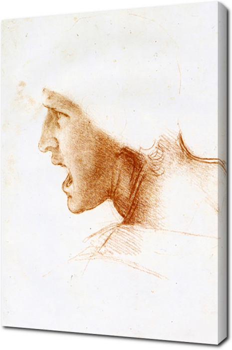 Леонардо да Винчи - Графика