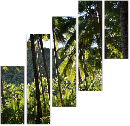 Ряд кокосовых пальм