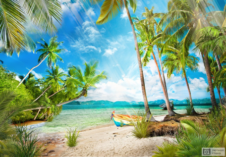 Дикий пляж с пальмами