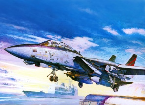 Самолет F-14A