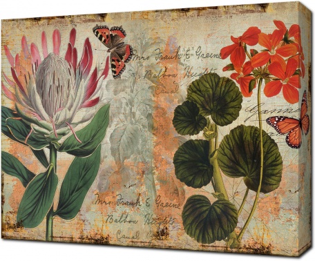 Растения с винтажных открыток