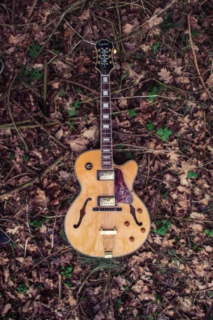 Гитара в осеннем лесу