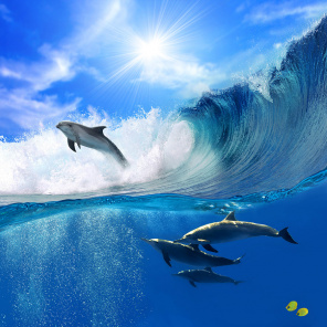 Группа дельфинов в волнах