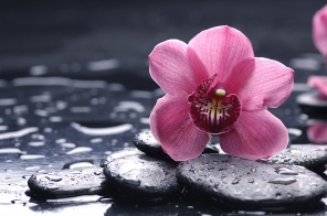 Орхидея с каплями вода