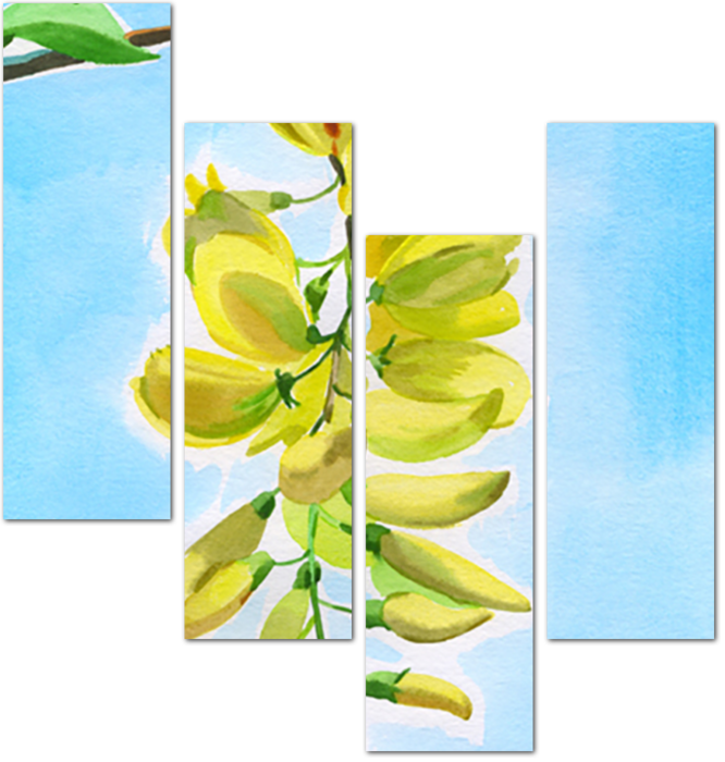 Желтые цветы на  ветке
