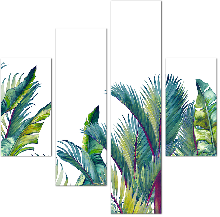 Акварельные листья редких пальм