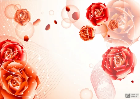 3D Розы и круги