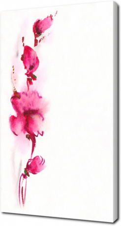 Розовые акварельные орхидеи