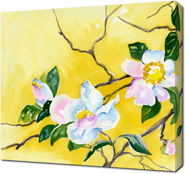 Магнолия акварелью