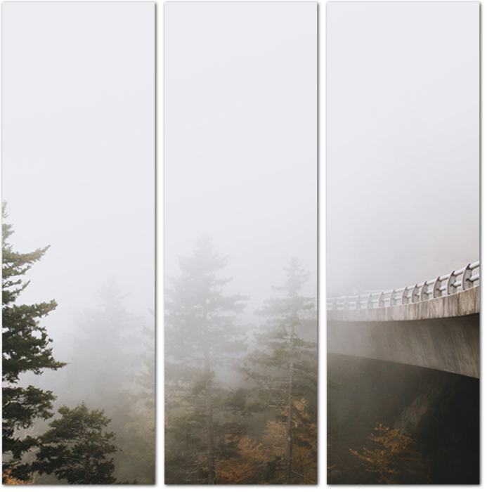 Мост над елями в тумане