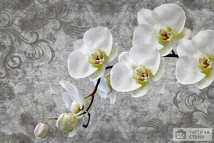 Орхидея на винтажном фоне