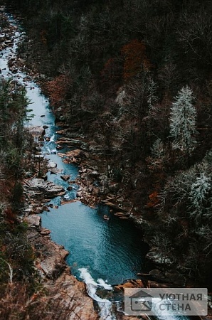 Горная река через лес