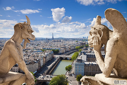 Фотообои Париж с крыши собора Парижской Богоматери. Франция