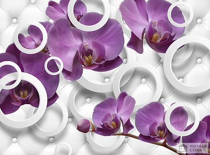Фиолетовые орхидеи с абстракцией