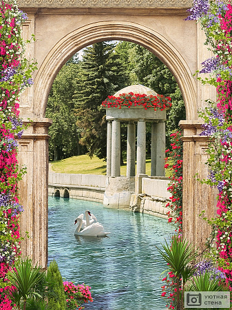 Арка с цветами с видом на лебедей в пруду