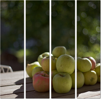 Сезонные яблоки в саду